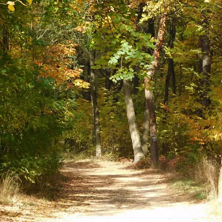 Otthon-laksz Διαμέρισμα